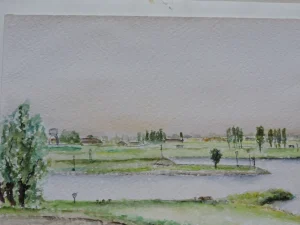 Riverview Aquarel 20-30 CM