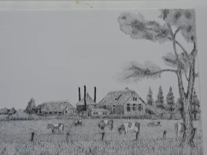 Farm With Cows Pen Drawing 30-40 CM