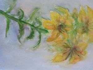 Still Life Lilies   Aquarel  35-45 CM